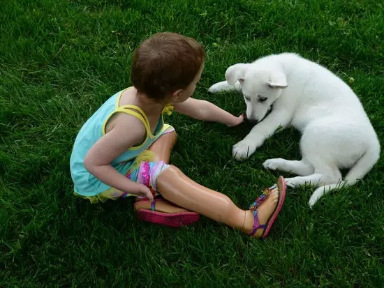 截肢小女孩与失去爪子的小狗 彼此成为了一对命运的好伙伴