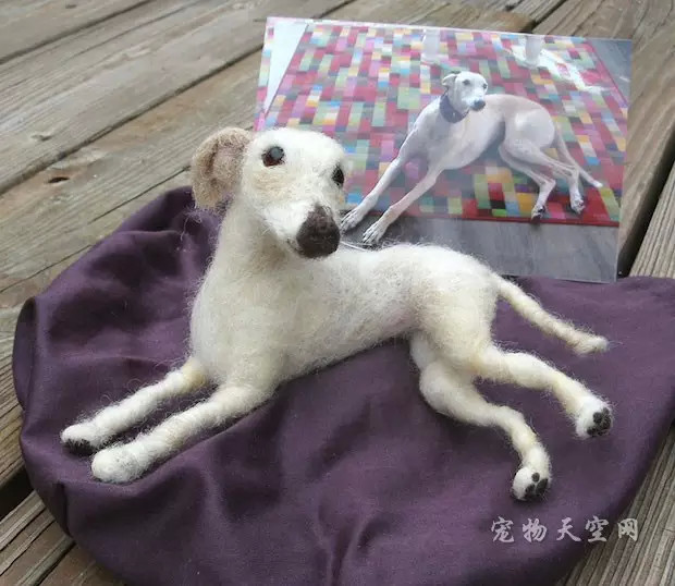 用羊毛做成宠物的样子 逼真的样子如同真的