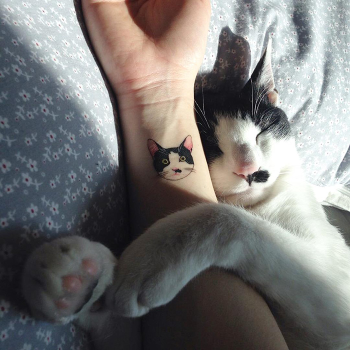 可爱的猫咪纹身（一）