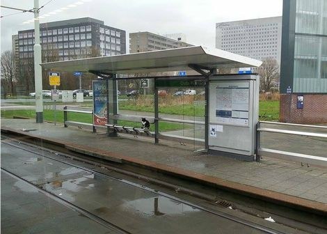 荷兰一只猫在车站里一坐就是10年 没人知道它在等什么