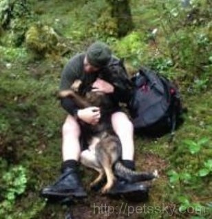 新西兰警犬在山上失踪7天后  与主人重逢视频网上热传