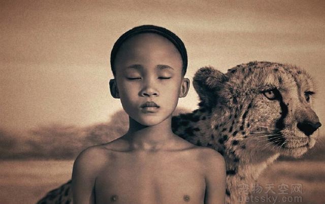 震撼全球的摄影大片:动物与人之间的和谐相伴