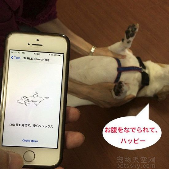 日本推出首个宠物社交网络——Anicall