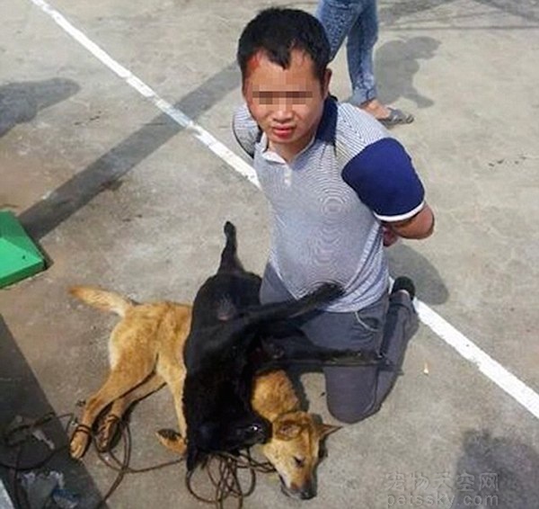 中国偷狗贼在国外媒体报道 到底是谁的错