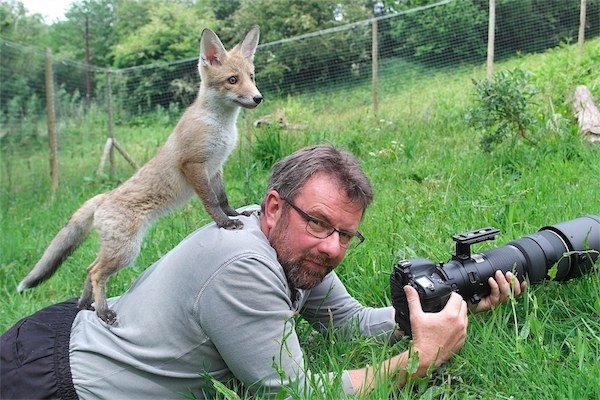 野生动物摄影师用照片呼吁：停止捕猎狐狸