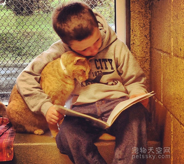 女志愿者为救助站的老龄狗读书 来缓解它们的孤独感