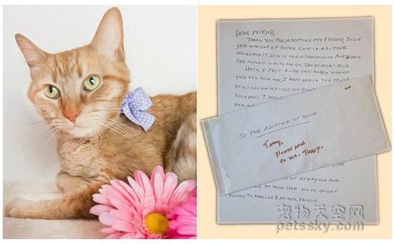 猫咪主人临终前写了一封信 介绍如何照顾这只猫咪