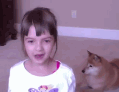 7岁的小萝莉教大家如何训练狗狗 非常专业