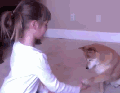 7岁的小萝莉教大家如何训练狗狗 非常专业