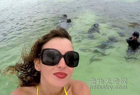 美女模特水下与美洲鳄同游 拍摄了一组震撼的照片