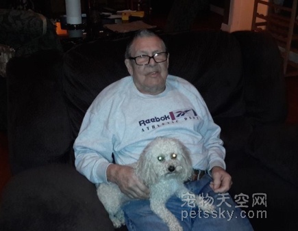 患有老年痴呆症的主人将爱犬遗失  狗狗看到电视新闻自救