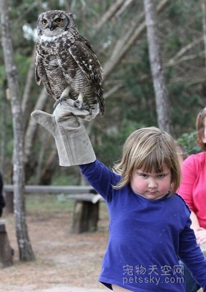 小女孩举着猫头鹰的照片 因表情严肃在网上被恶搞