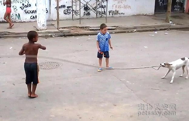 巴西贫民窟让人感动的一幕 流浪狗用嘴拉绳帮孩子玩耍