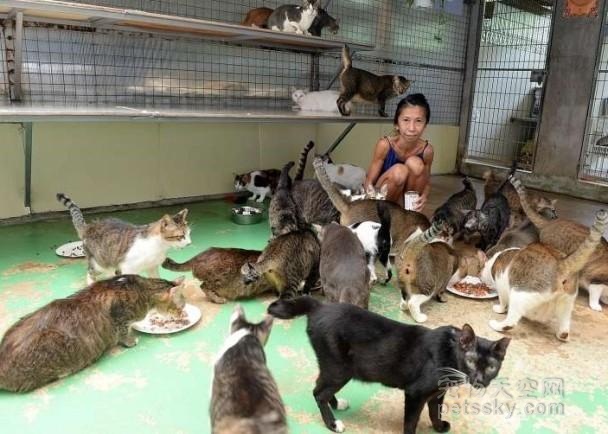 46岁女士花光积蓄养150只猫 甘愿瘦成皮包骨