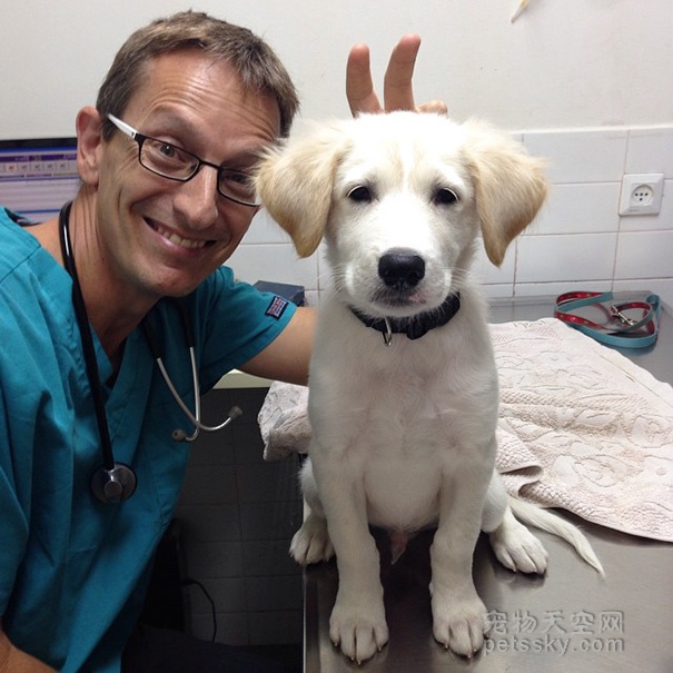 当一个宠物医生也好处 至少可以和各种宠物合照