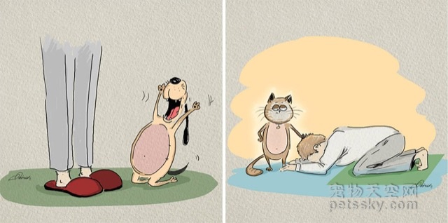 用插画来表达养猫和养狗的6个不同之处