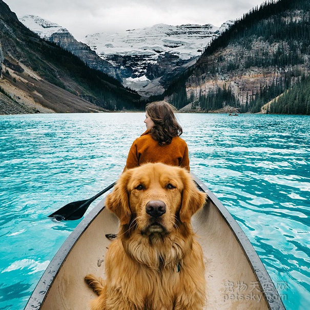 狗狗不仅仅是人类的好朋友 还是旅行的好搭档