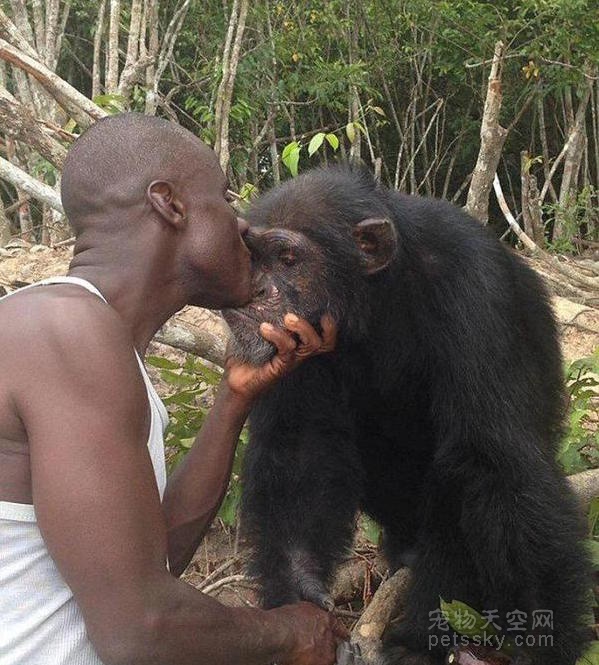 黑猩猩实验后遭丢弃 小岛上独自生活3年