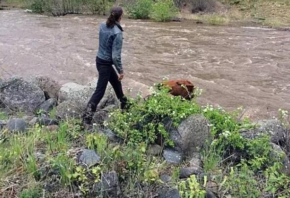 女子在野外的河边散步 看到一匹小马在河中垂死挣扎