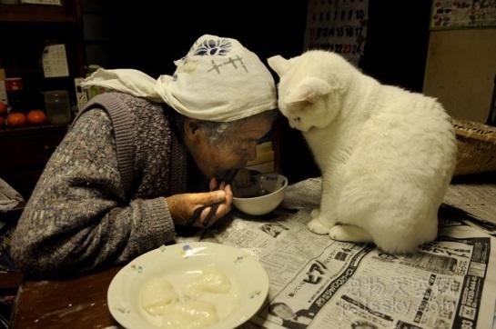 孙女用照片记录奶奶与猫咪的11年感情 温暖人心