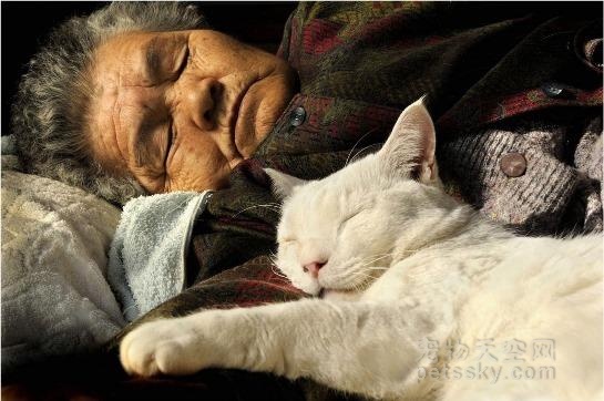 孙女用照片记录奶奶与猫咪的11年感情 温暖人心
