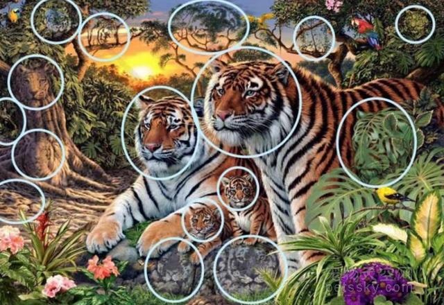 数一数这张画里面有几只老虎 考一考你的眼力