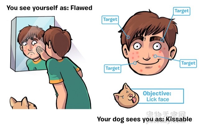 你是如何看自己的 VS 狗狗是如何看你的