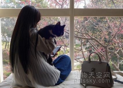 郭碧婷抱着猫咪赏樱 长发及腰背影很唯美