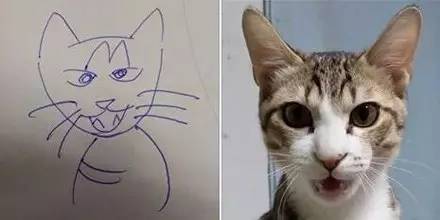最近给自家猫画肖像 铲屎官们大展才艺