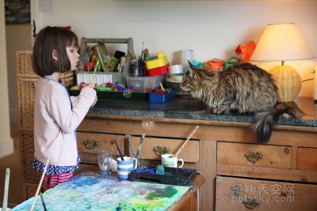 患自闭症的小女孩在猫咪的陪伴下绘画