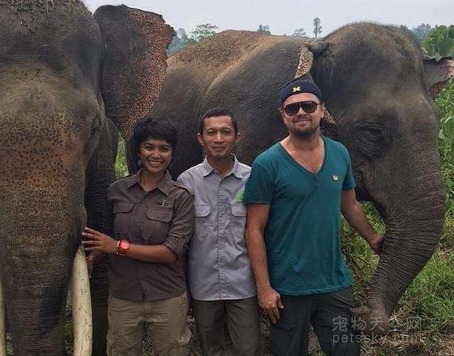小李子在印尼与大象合影 宣传保护生态环境