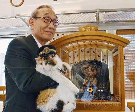 日本举行猫咪站长浮雕揭幕式 继任花猫站长“二玉”也出席