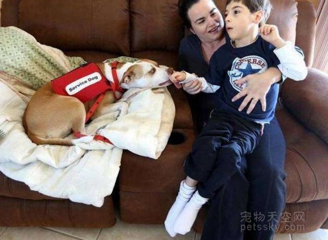 校方禁止治疗犬陪伴患病儿子上学 妈妈愤而走向起诉之路
