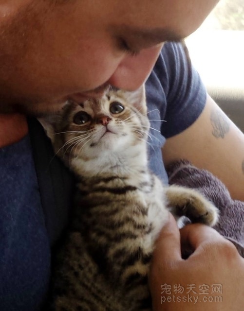 当小猫咪意识到自己被救时 它的眼神显示出幸福的内心