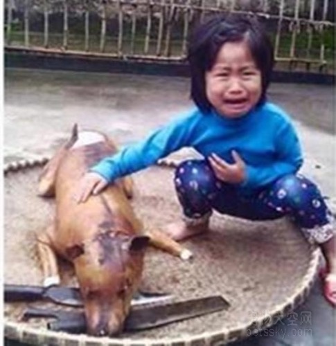 越南女孩一眼认出自己的狗狗
