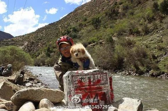 小狗在川藏线上偶遇骑行者 从四川雅江跑到了西藏拉萨