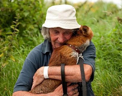 老人在野外救了二只狐狸 放生时突然发生感人一幕