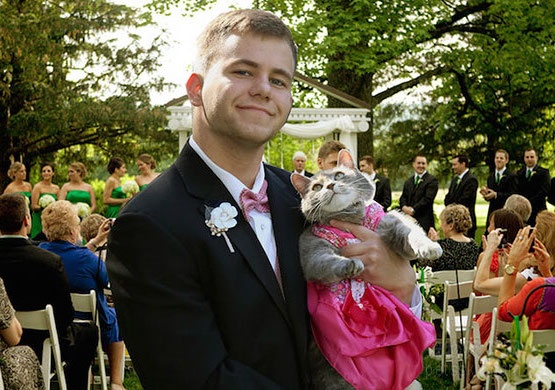 毕业舞会上没有女伴怎么办 男子把家里的猫咪带去当舞伴