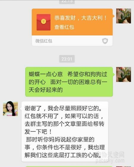 网友分享自己领养流浪狗的故事