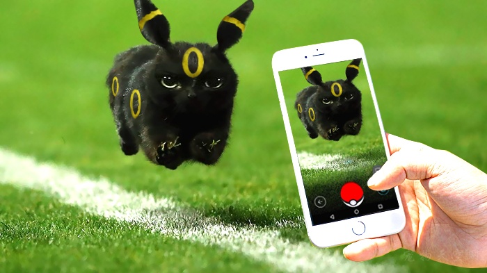 黑猫的照片在网上掀起PS比赛