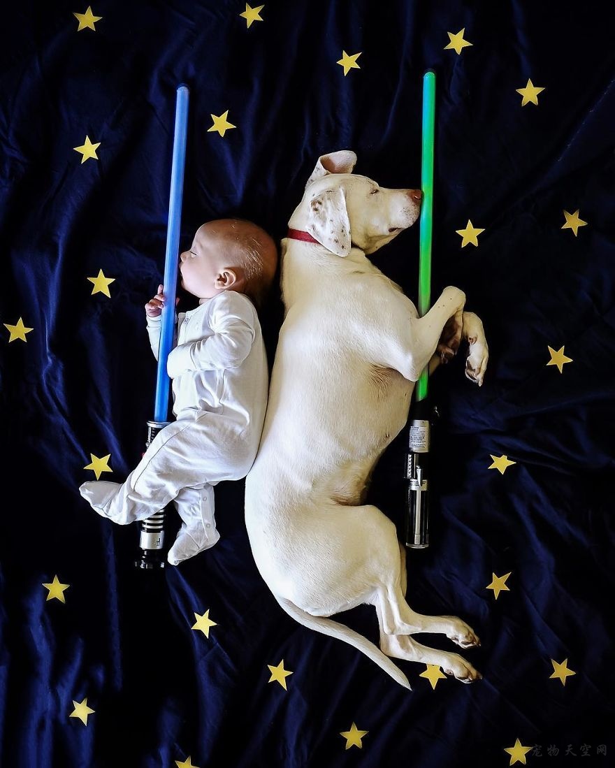从救助站领养的一只狗狗成为小儿子的好伙伴
