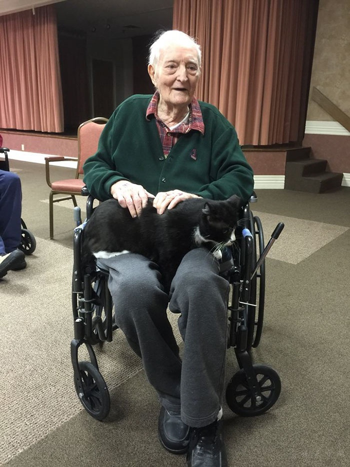 带老龄猫咪去探望养老院的老人