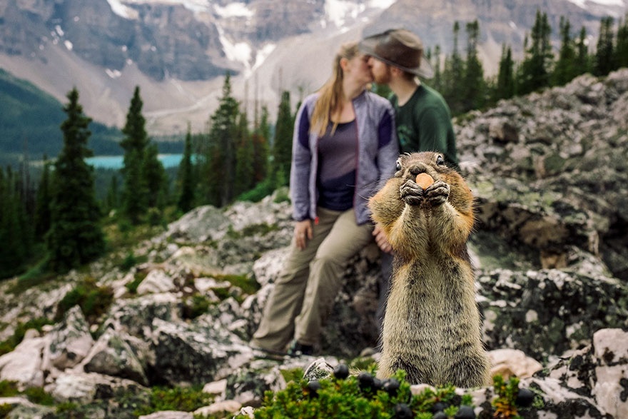 松鼠闯入一对订婚情侣的外拍镜头里