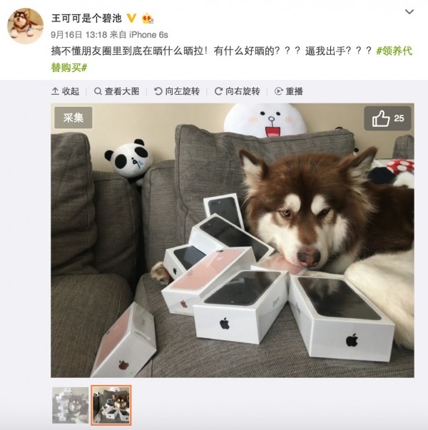 王思聪为爱犬买8台iPhone 7