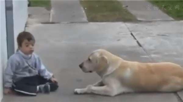 爸爸为治疗儿子的自闭症带回一只狗
