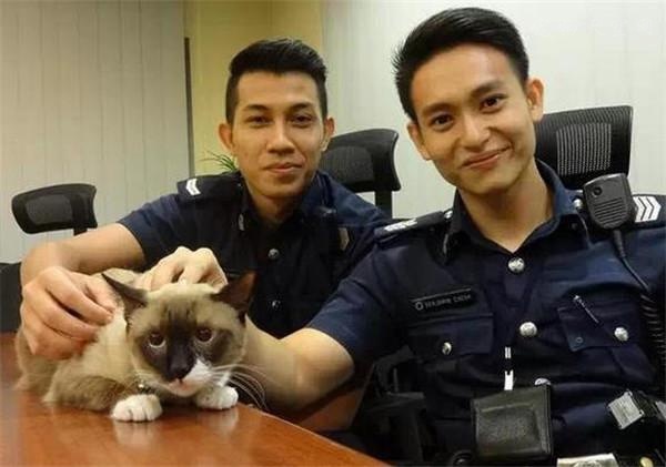 两名警察救了一只猫爆红网络
