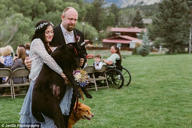 美国一名女兽医决定让罹患脑瘤的宠物 陪她走进婚礼