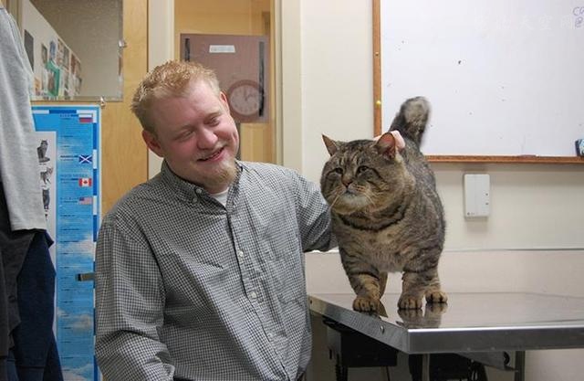 半年前家里的猫走丢了，半年后主人再见到它时吓了一跳