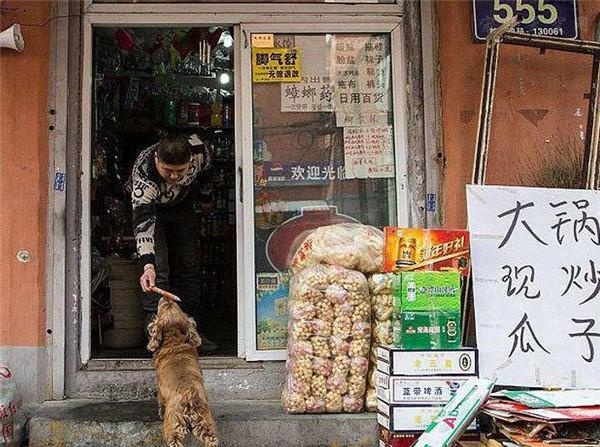 狗狗每天找主人要零钱买吃的
