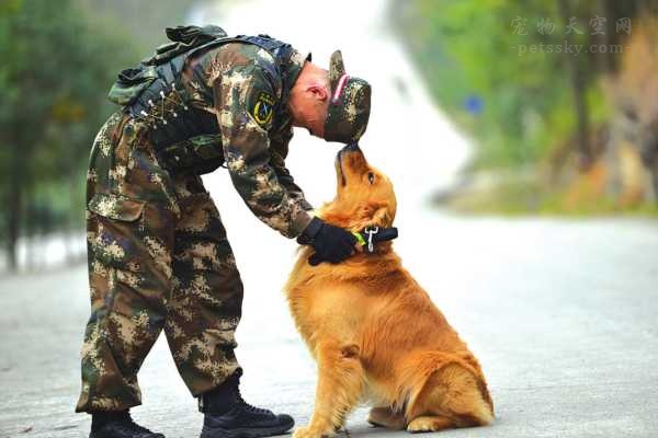 日积月累中，战士和警犬既是战友，更是生死之交